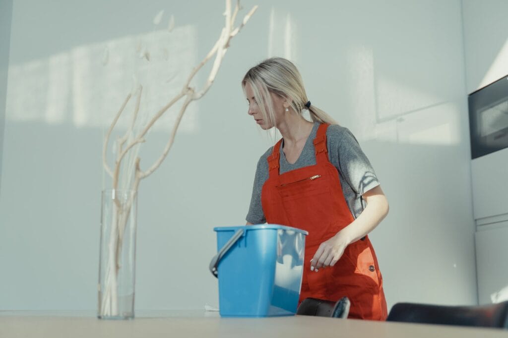 How to choose the best house cleaning in Santa Rosa in Santa Rosa, CA - Advance House Cleaning